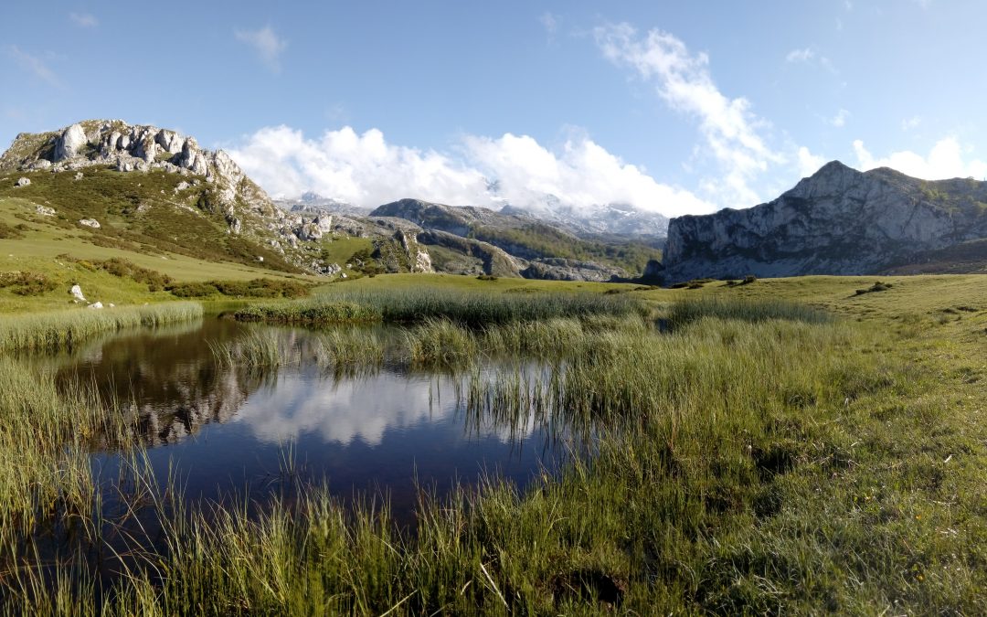 Lagos de Covadonga